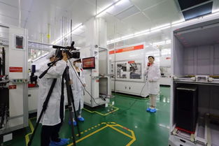 成都智造 探秘通威無人工廠，解碼四川清潔能源新興技術